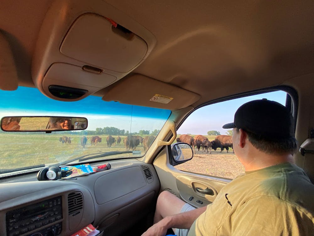 Blog meet the neuens bison farm in south dakota