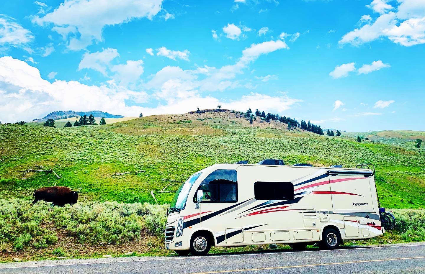 Blog RV Asian Family National Park with Bison photo