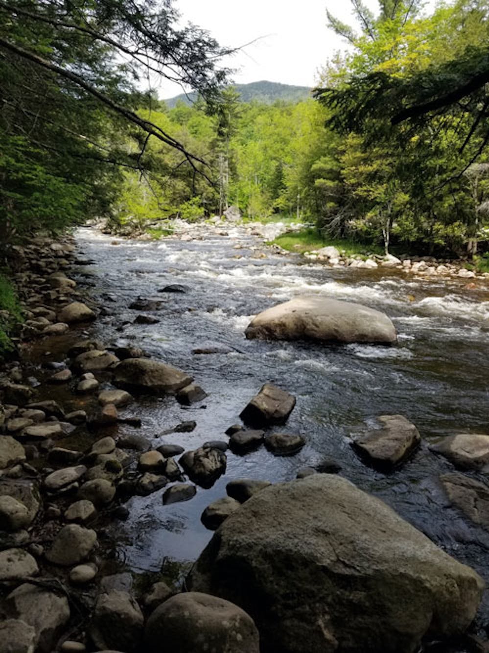 Lake Placid blog photo