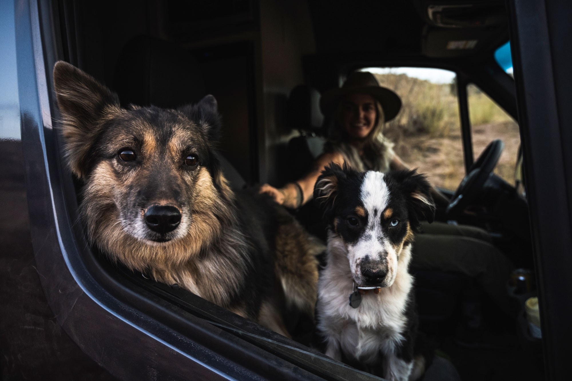 2022 Thor Sanctuary Sprinter Van Lifestyle Kalen Thorien corporate photo shoot kalen with dogs in window of van pets dogs puppies