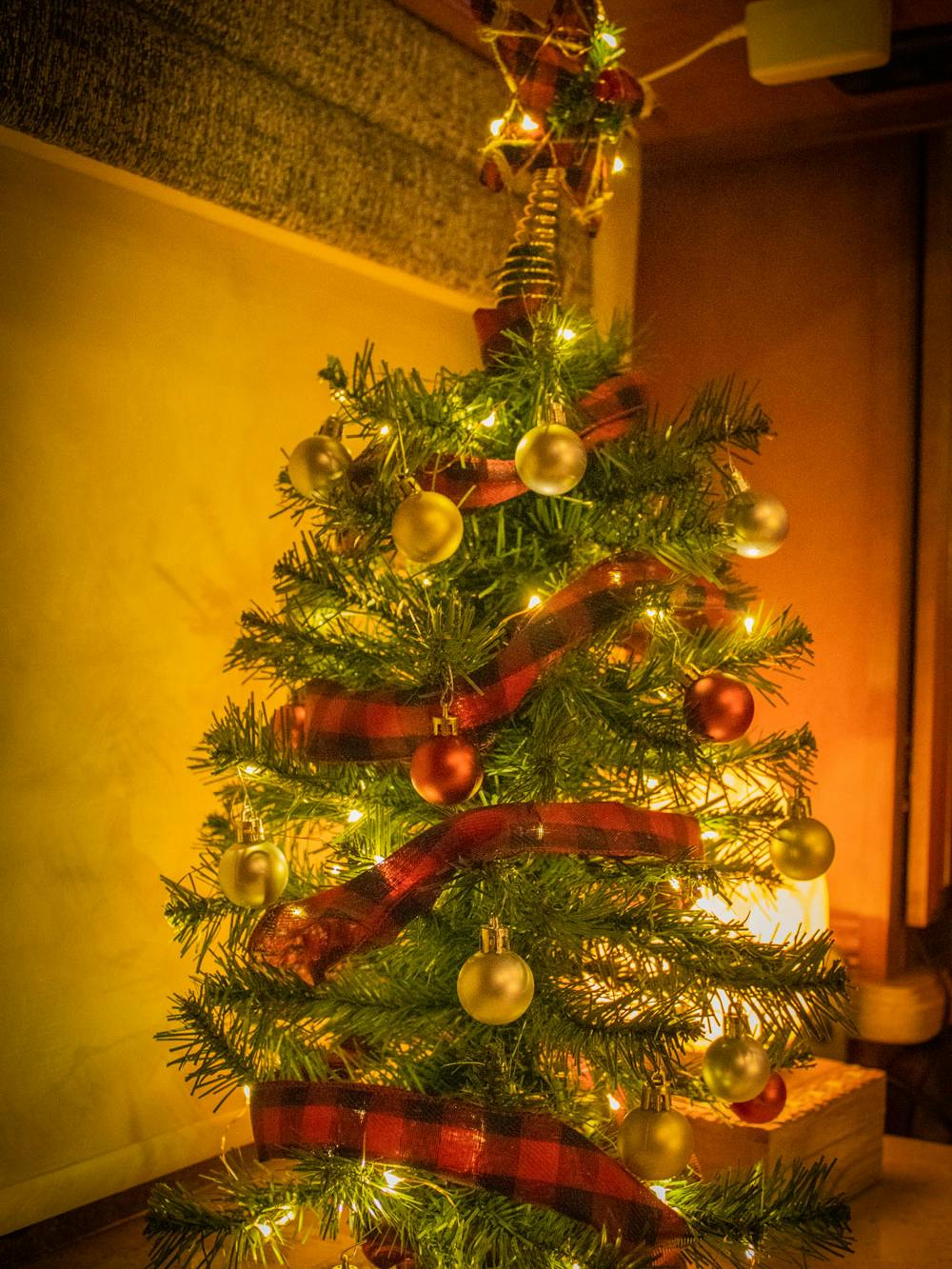 Blog photo Breaking Tradition - Hagen blog christmas tree in Venetian Class A Diesel Pusher RV