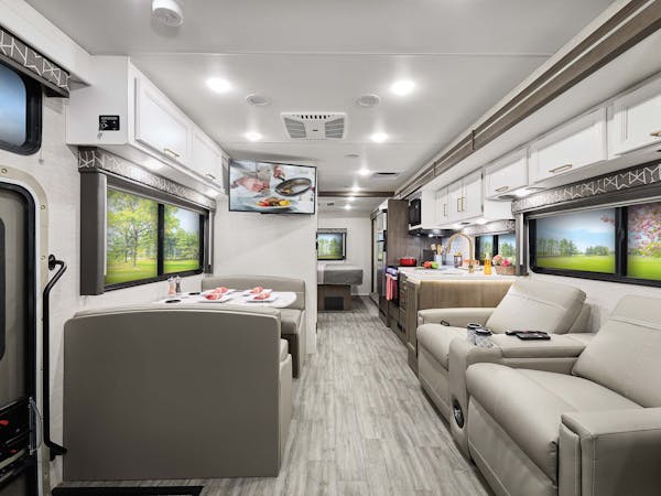 2025 ACE 29D Shadow Birch living area