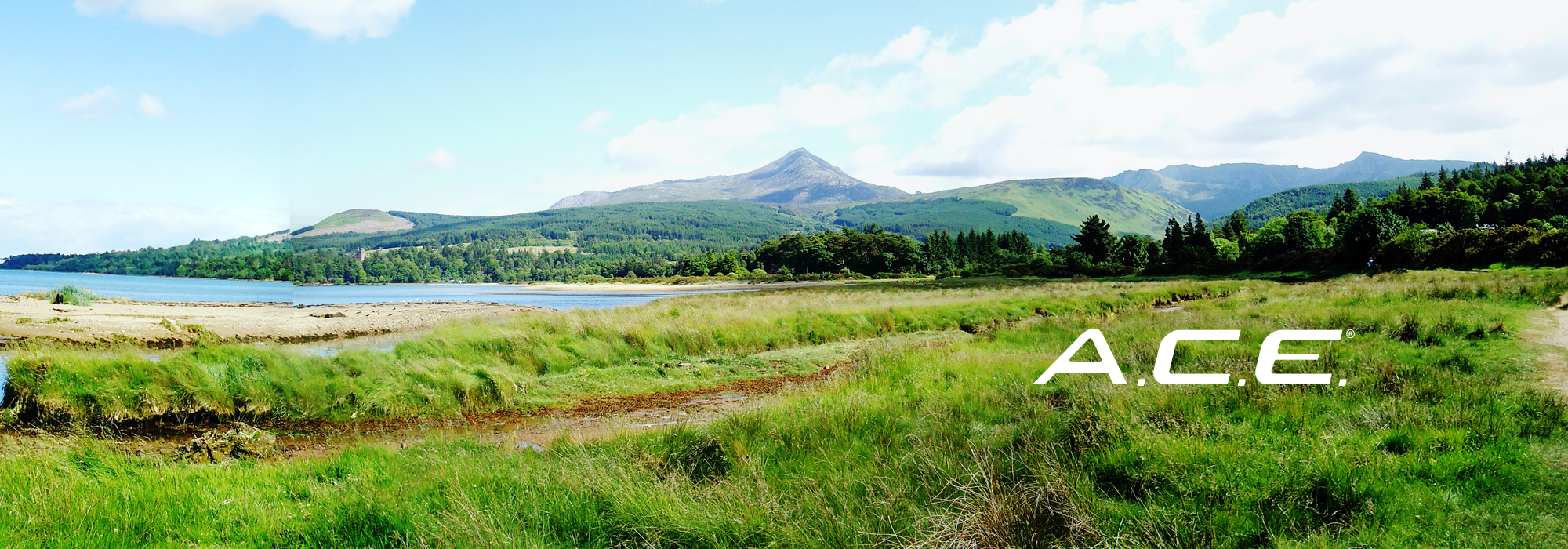 Ace Landscape Banner