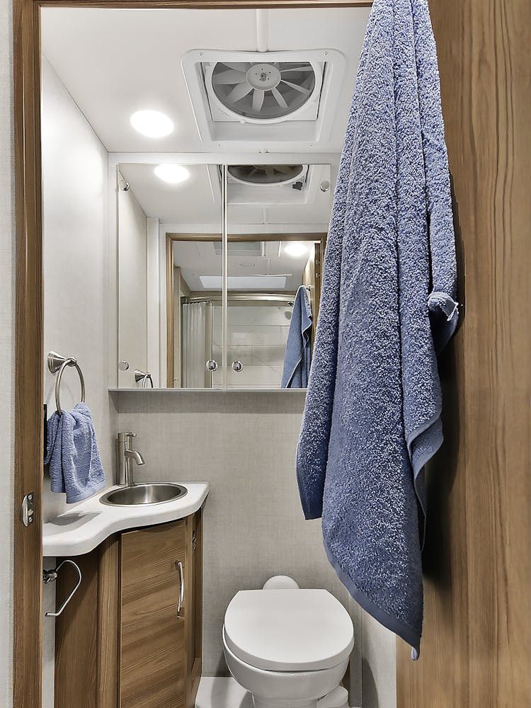 2026 Delano 24XL Crestview Snow Leopard II Modern Mocha Bathroom
