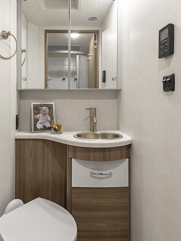 2026 Delano 24RW Snow Leopard II & Modern Mocha Bath