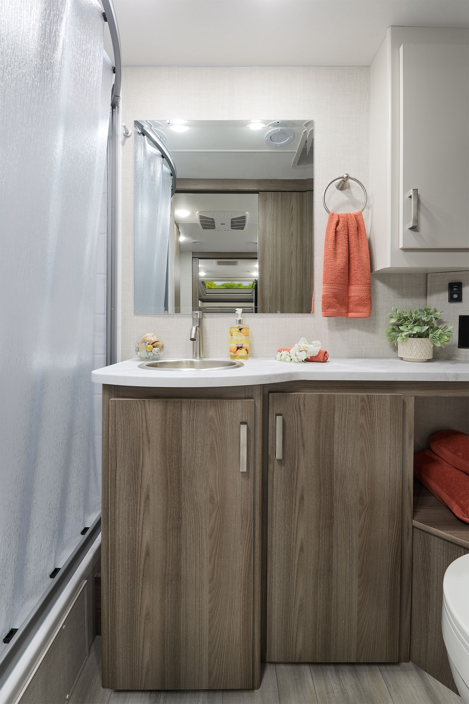 2026 Gemini 24JG Snow Leopard Modern Mocha Bathroom