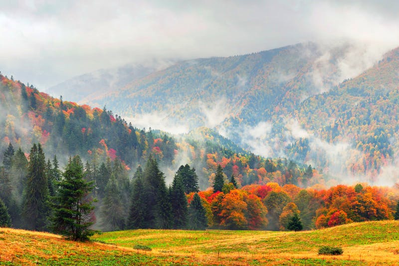 Destination Spotlight: Smoky Mountains