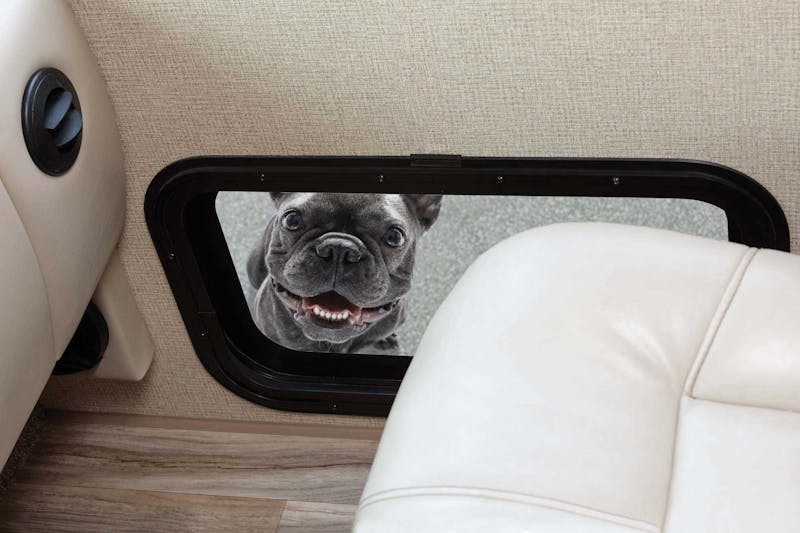 RVing Means Never Saying Goodbye to Your Pets!
