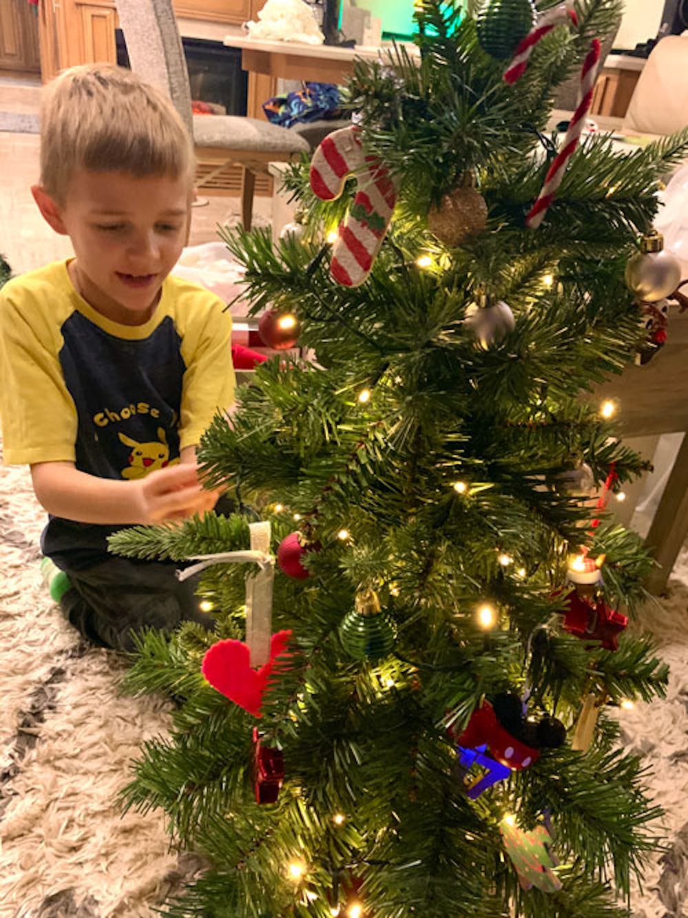 Blog photo Hangin' with the Hagens for the Holidays - Lou by Christmas Tree