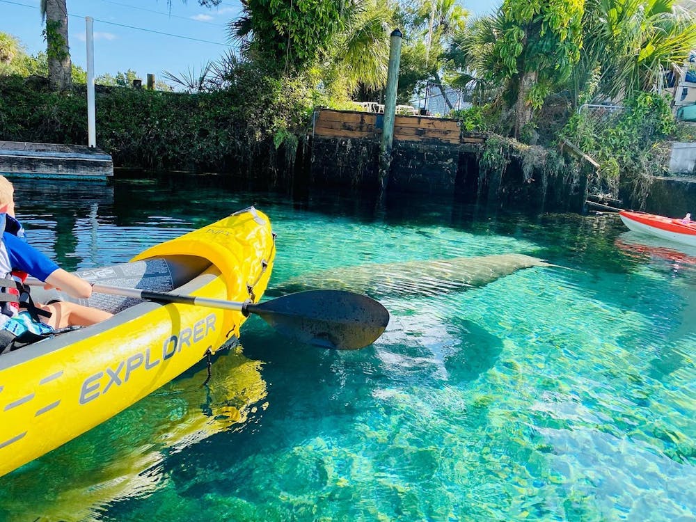 Blog Springtime in Florida Hagens kayaking