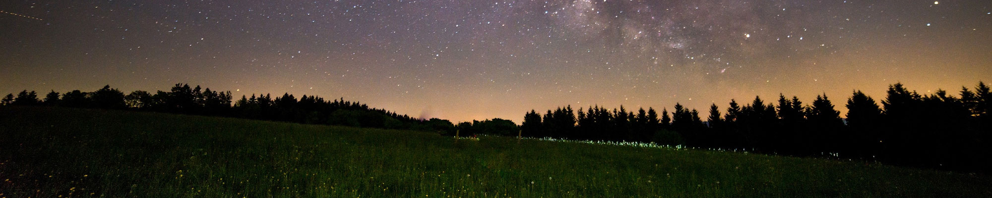 Camping in the wilderness at night and seeing the stars