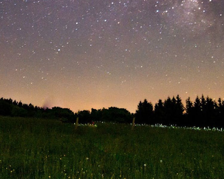 Camping in the wilderness at night and seeing the stars