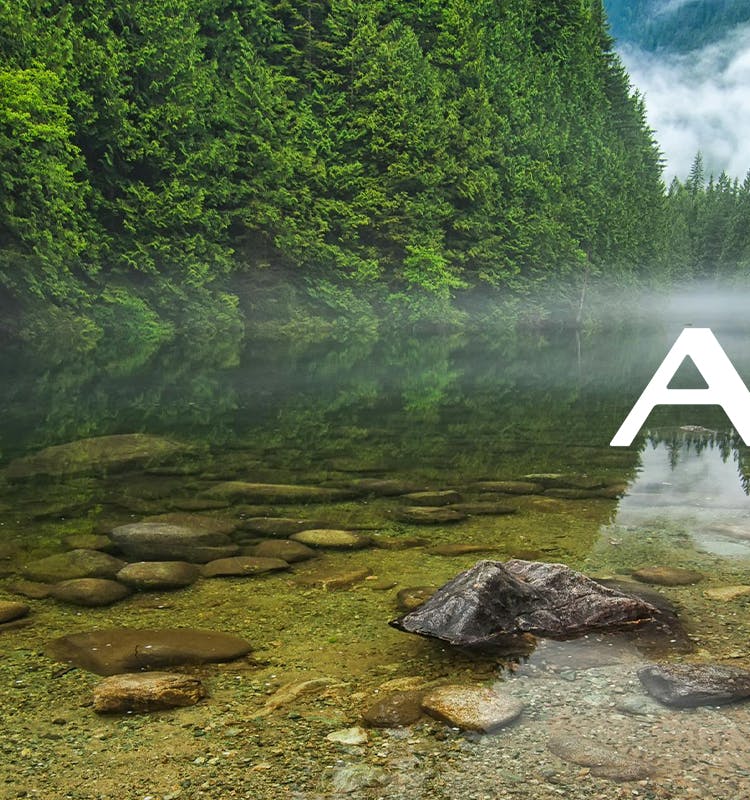 Aria logo with trees, water, and fog